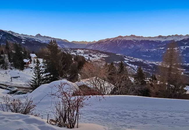 Chalet à Anzère - Tiny House facing the Alps - Ski in and out Chalet à Anzère - Tiny House facing the Alps - Ski in and out