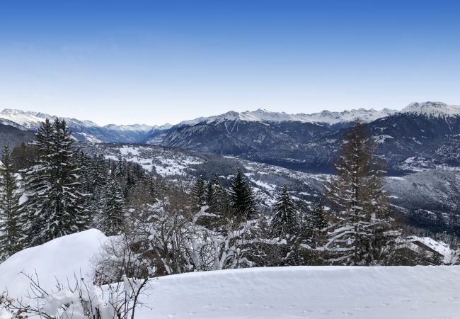 Chalet à Anzère - Tiny House facing the Alps - Ski in and out Chalet à Anzère - Tiny House facing the Alps - Ski in and out
