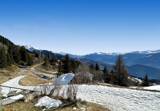 Chalet à Anzère - Tiny House facing the Alps - Ski in and out Chalet à Anzère - Tiny House facing the Alps - Ski in and out
