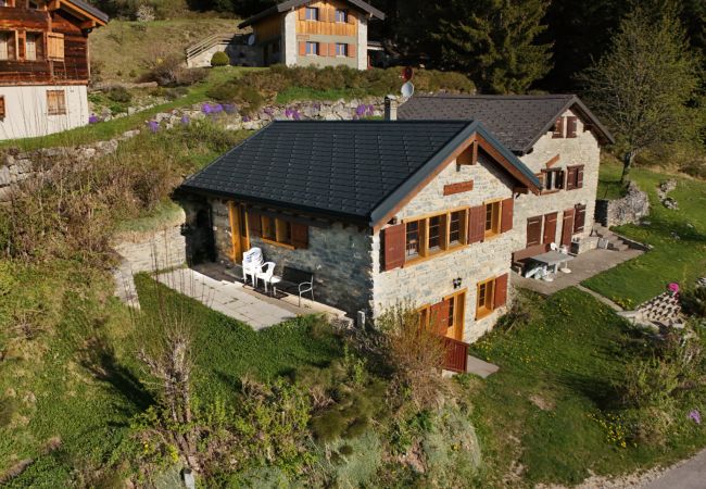 Chalet à Anzère - Tiny House facing the Alps - Ski in and out Chalet à Anzère - Tiny House facing the Alps - Ski in and out