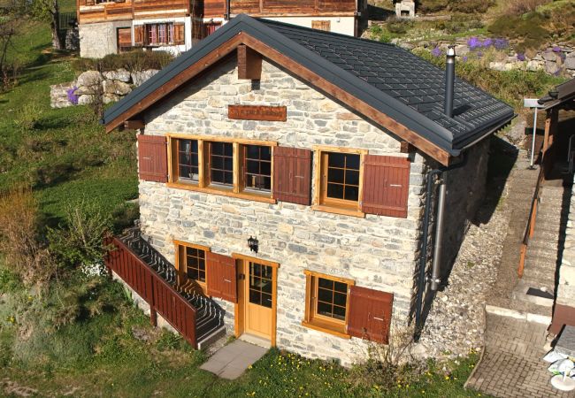 Chalet à Anzère - Tiny House facing the Alps - Ski in and out Chalet à Anzère - Tiny House facing the Alps - Ski in and out
