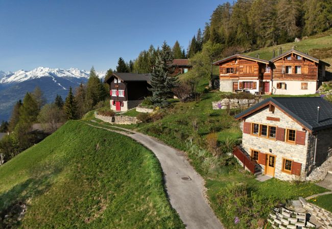 Chalet à Anzère - Tiny House facing the Alps - Ski in and out Chalet à Anzère - Tiny House facing the Alps - Ski in and out