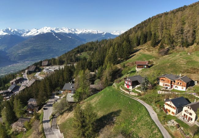 Chalet à Anzère - Tiny House facing the Alps - Ski in and out Chalet à Anzère - Tiny House facing the Alps - Ski in and out