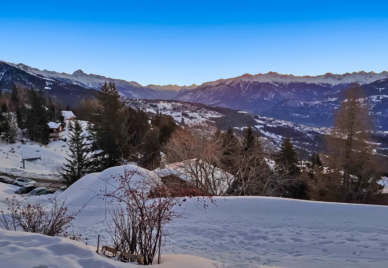 Chalet à Anzère - Tiny House facing the Alps - Ski in and out