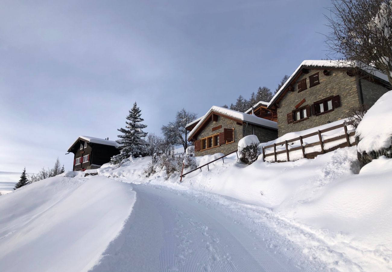 Chalet à Anzère - Tiny House facing the Alps - Ski in and out