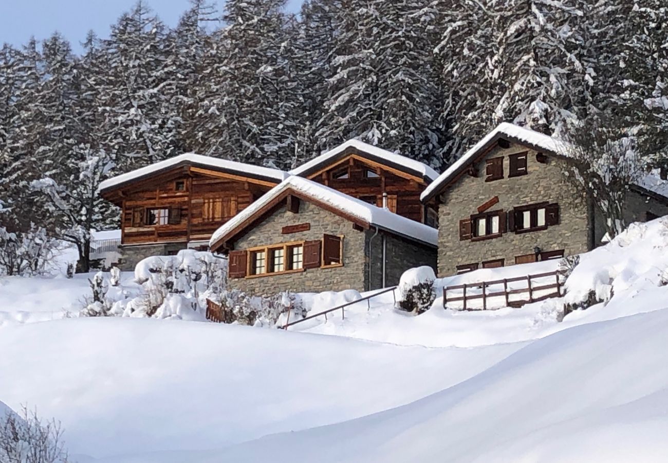 Chalet à Anzère - Tiny House facing the Alps - Ski in and out