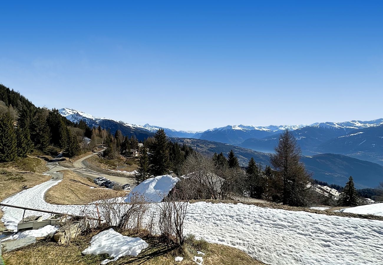 Chalet à Anzère - Tiny House facing the Alps - Ski in and out