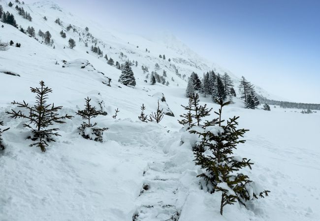 Chalet à La Fouly - Chalet Le Basset - Family Chalet in the Swiss Alps