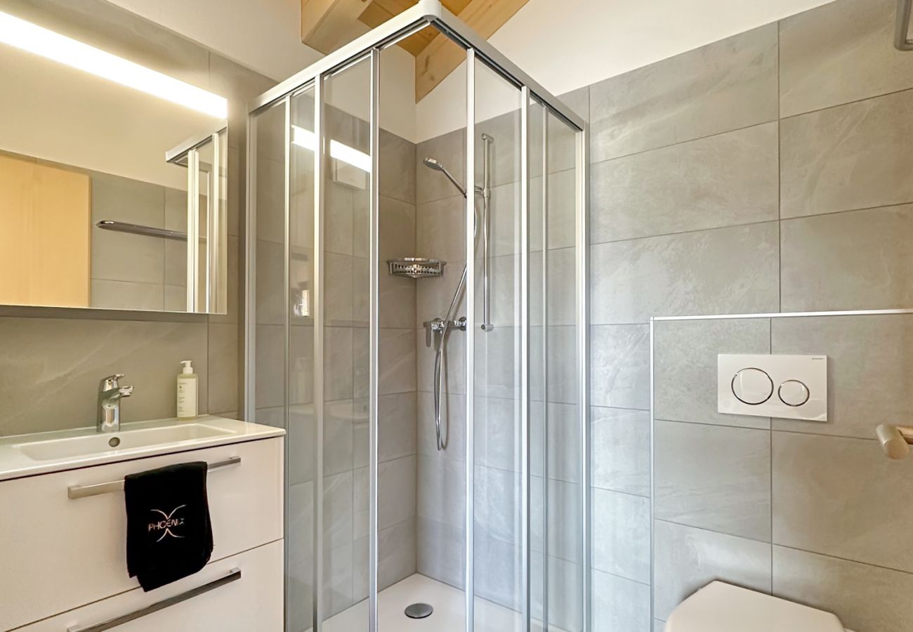 Jolie salle d'eau dotée d'une douche fonctionnelle, d'un WC et d'un lavabo