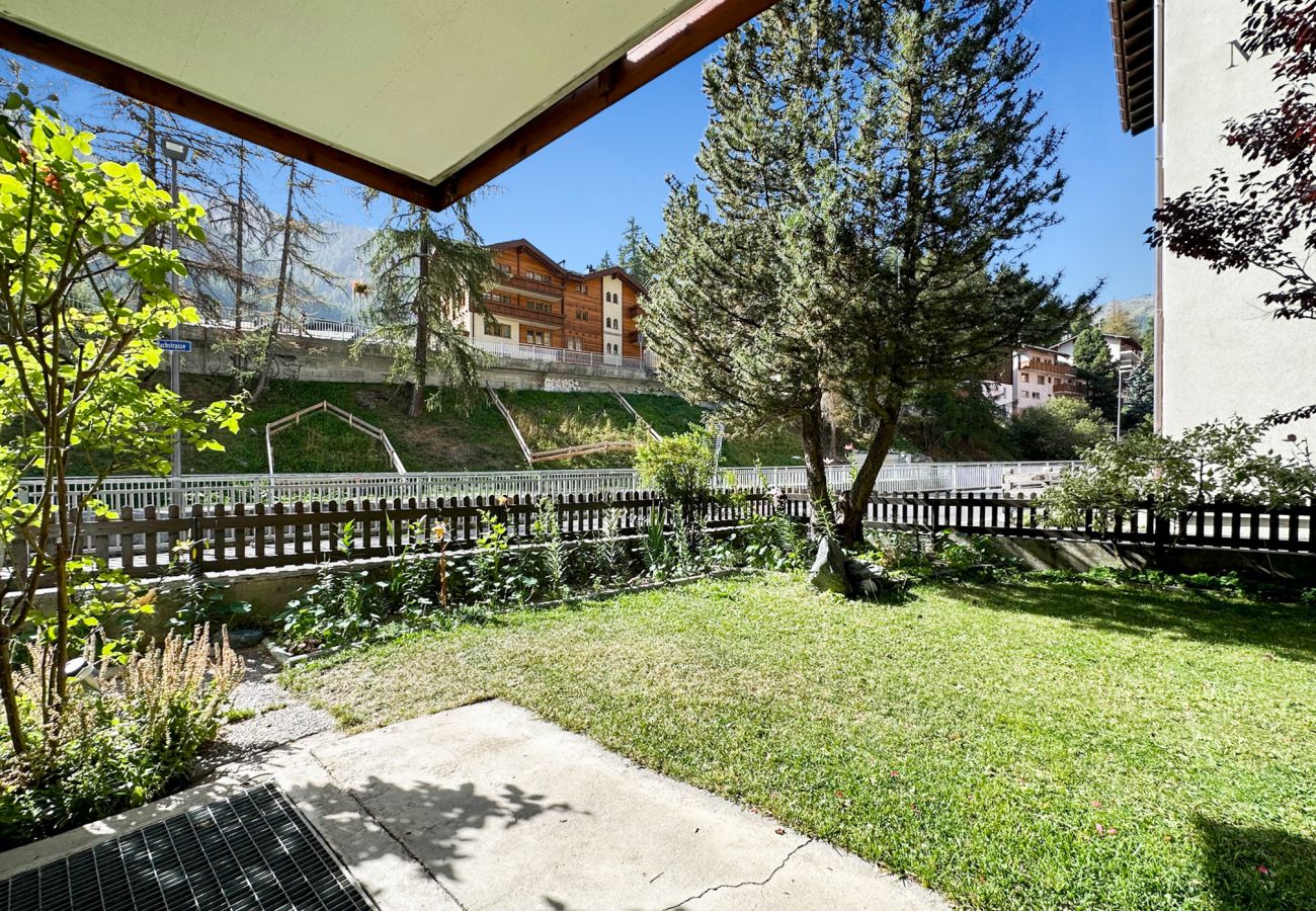 Vue sur la terrasse ensoleillée avec pelouse 