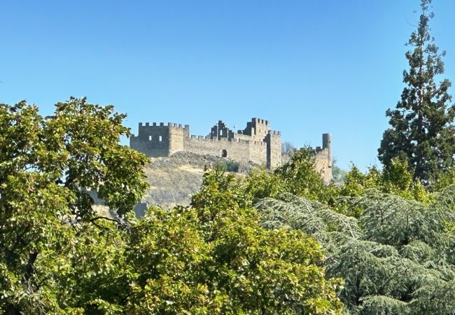Vue superbe sur le château de Tourbillon