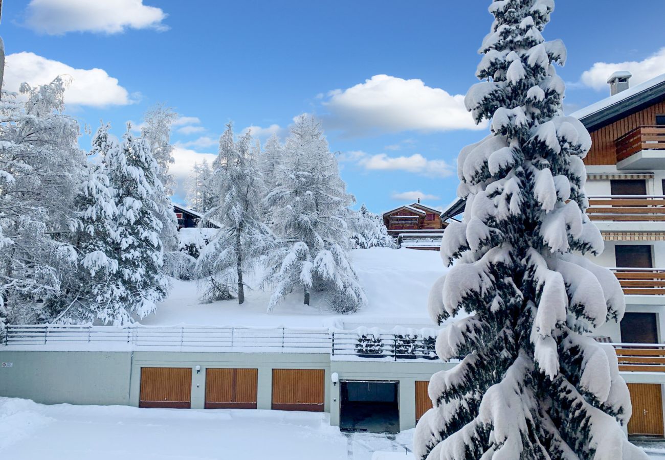 Appartement à Crans-Montana - La Jacinthe de Crans - Crans Montana