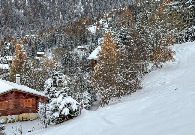 Chalet à La Tzoumaz - Chalet à Didi - Alps Paradise - 4 Vallees