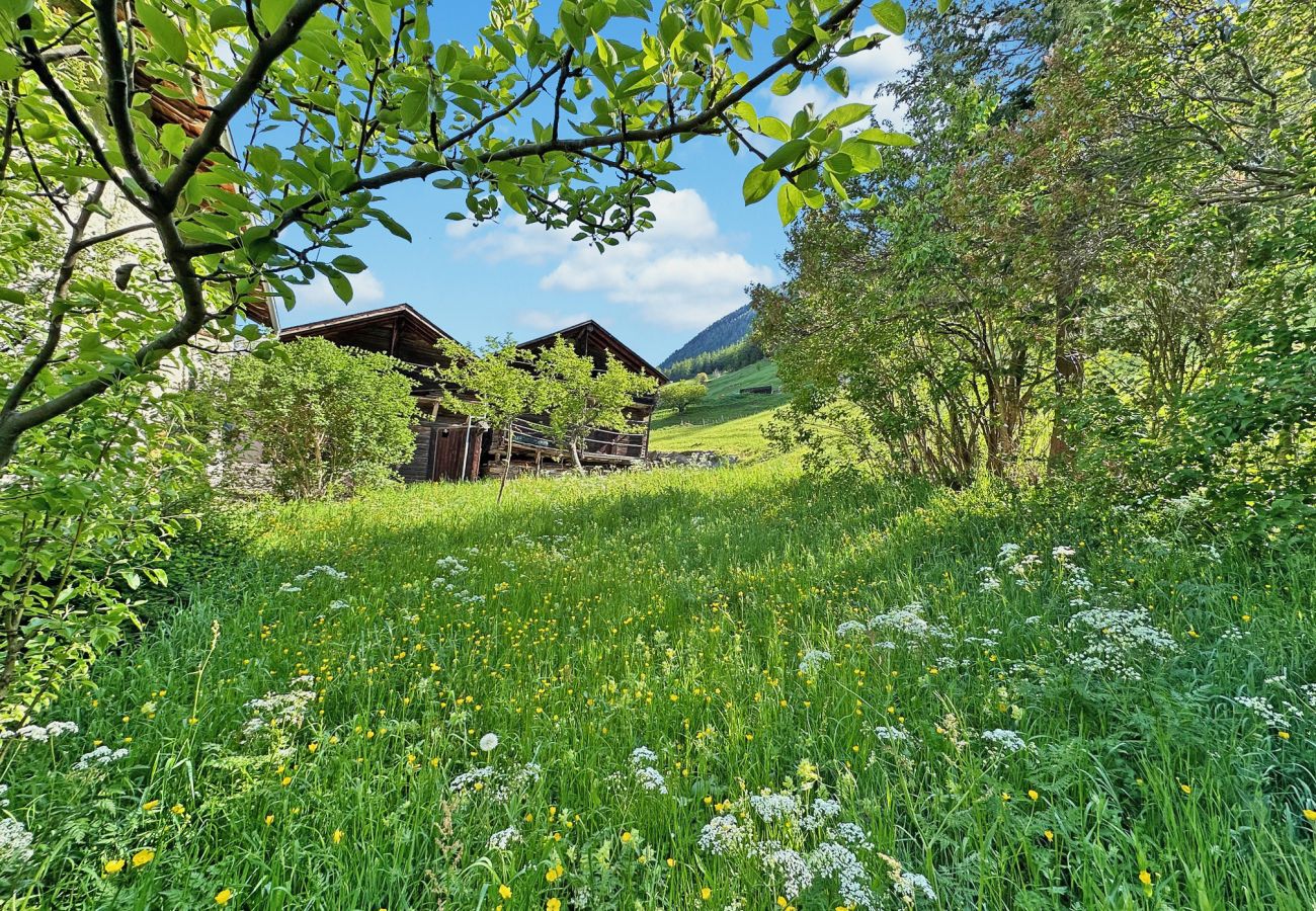 Maison à Reppaz - La Maison du Bassin - Grand St Bernard - Orsières