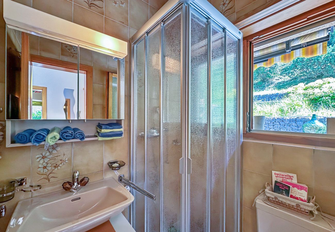 Maison à Pravidondaz - Mellow House - Near Sion & Ski Slopes - Swiss Alps
