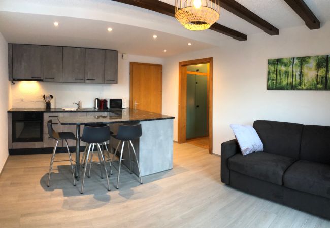 Salins - Appartement